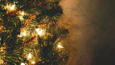Planning Ahead This Christmas banner background photograph