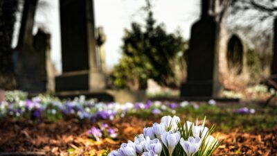 Creating Places of Reflection Beyond the Cemetery banner background photograph
