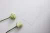 A photo representing the article title 'The Role of Prepaid Funeral Plans in Estate and End-of-Life Planning'