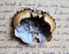 A thumbnail photo for this condolence memory