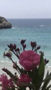 A thumbnail photo for this condolence memory