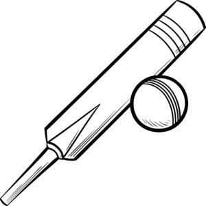 Cricket bat graphic