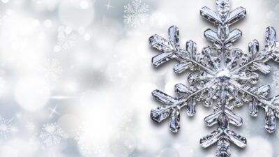 Service Of Reflection 2026 banner image