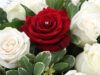 Attended Funeral Plan thumbnail photograph