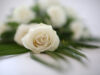 Unattended Funeral Plan thumbnail photograph