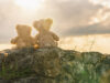 Registering A Death Of A Child thumbnail photograph